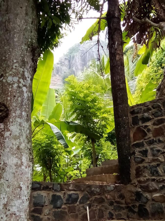 Forest Rawana Homestay Ella Buitenkant foto