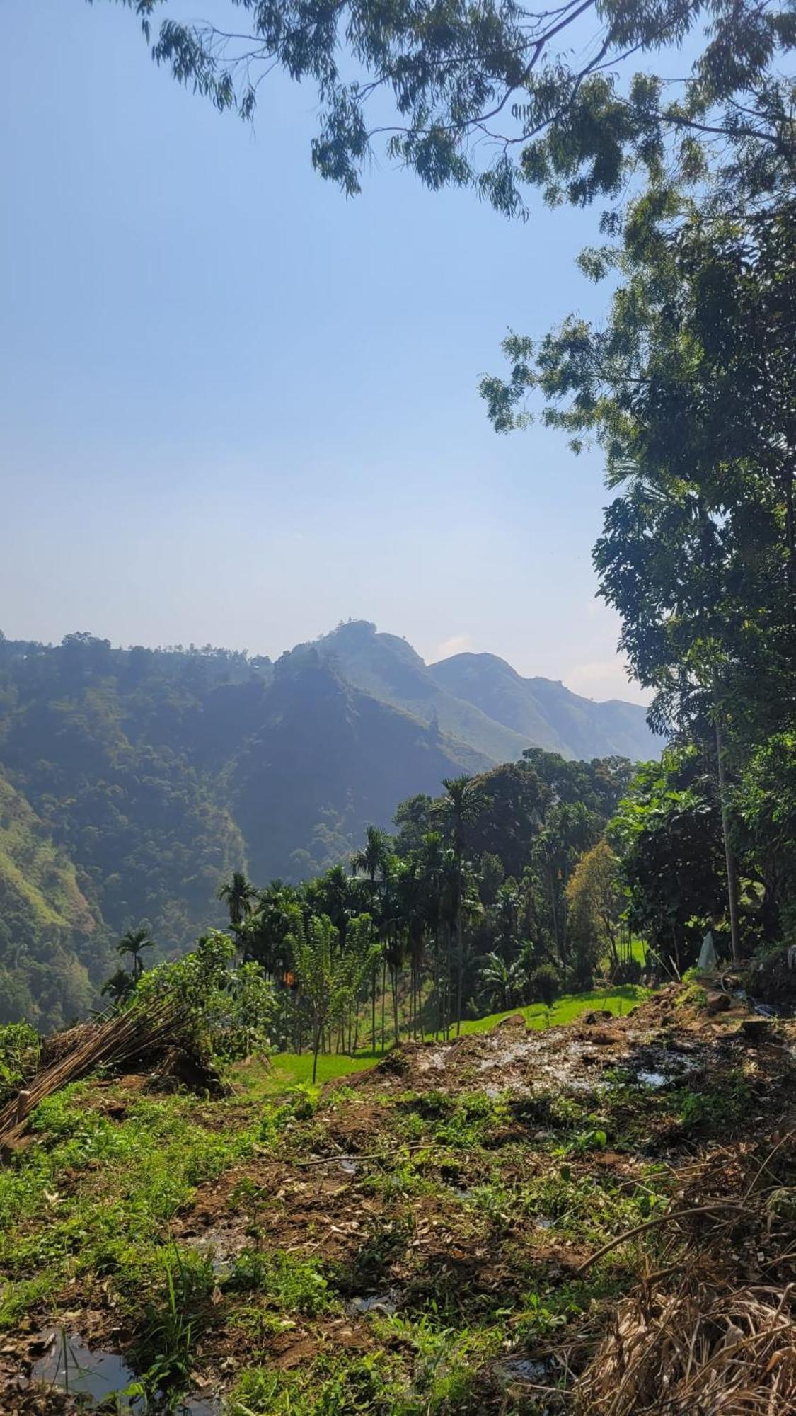 Forest Rawana Homestay Ella Buitenkant foto