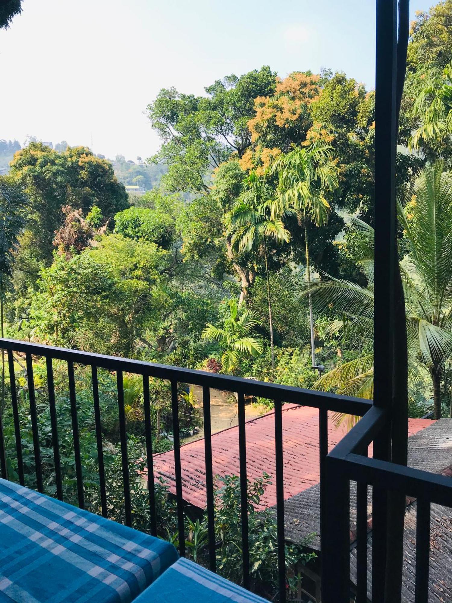 Forest Rawana Homestay Ella Buitenkant foto