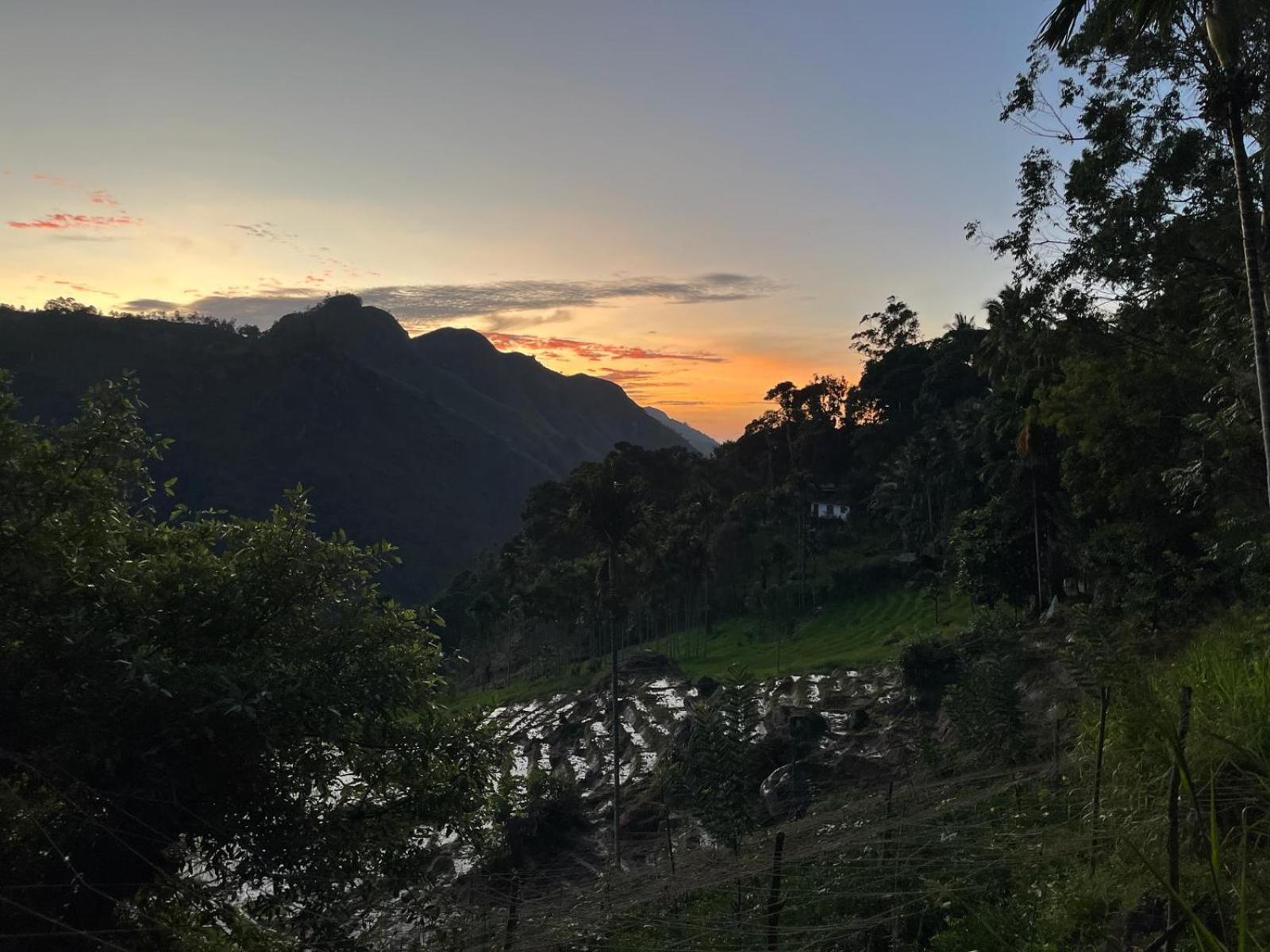 Forest Rawana Homestay Ella Buitenkant foto