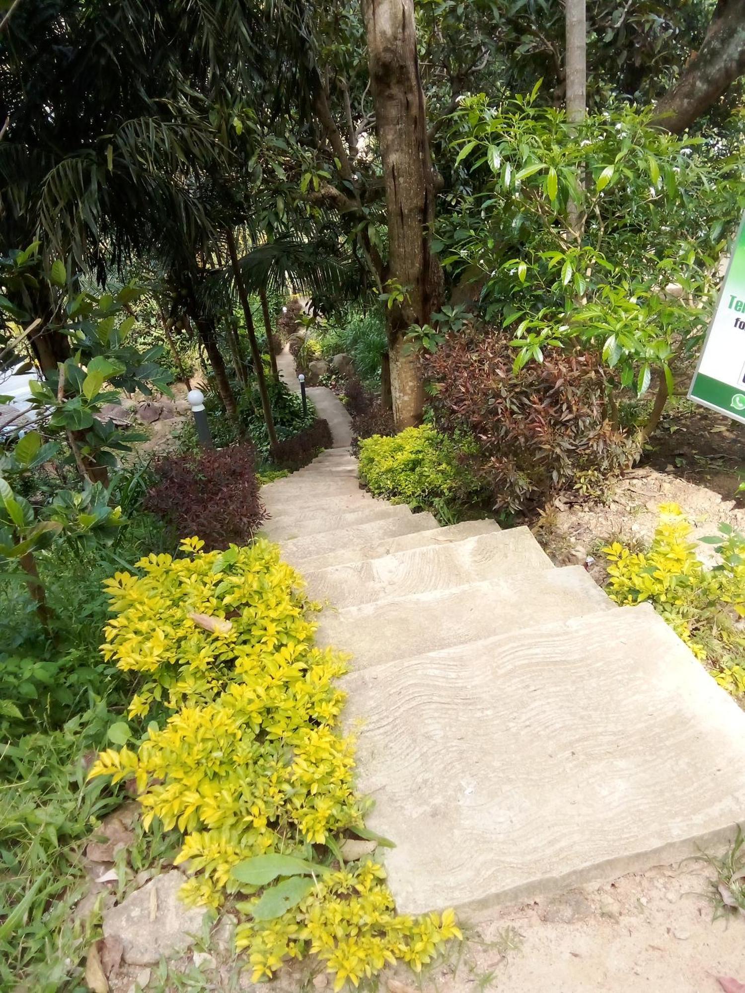 Forest Rawana Homestay Ella Buitenkant foto