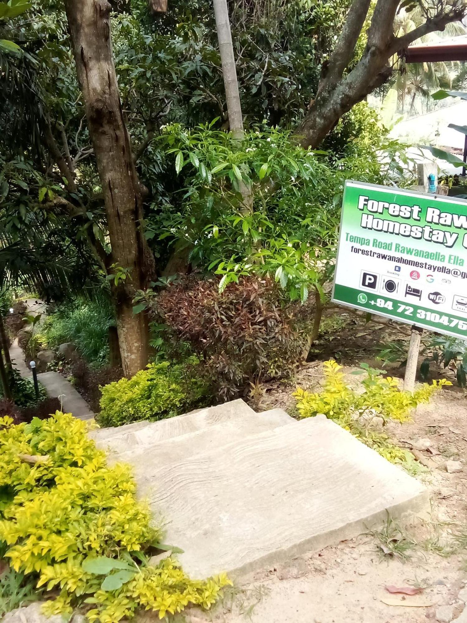 Forest Rawana Homestay Ella Buitenkant foto